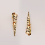Baroque Pearl & Spiral Shell Earring